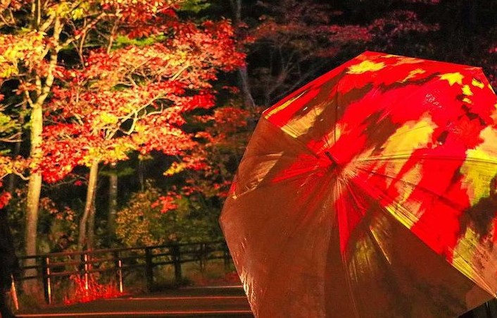 今年も、『日本一早い紅葉』のイベント！！『奇跡のイルミネート』が開催されます♪